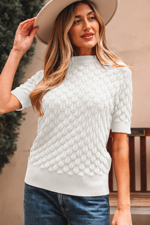 Textured Scale Knit Mock Neck Short Sleeve Sweater