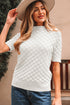 Textured Scale Knit Mock Neck Short Sleeve Sweater