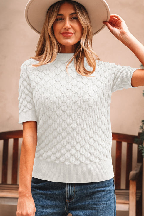 Textured Scale Knit Mock Neck Short Sleeve Sweater