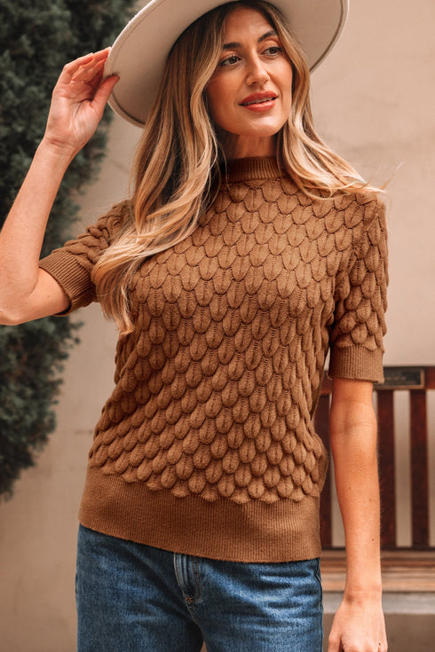 Textured Scale Knit Mock Neck Short Sleeve Sweater