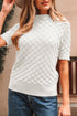 Textured Scale Knit Mock Neck Short Sleeve Sweater