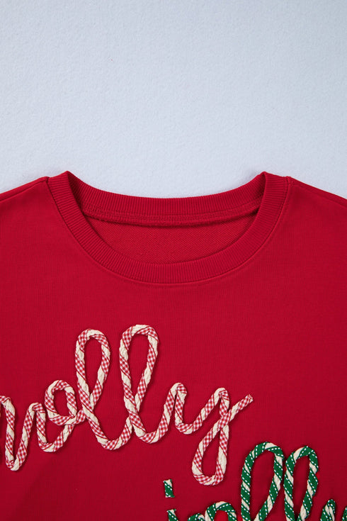 Textured Script Applique Relaxed Fit Crew Neck Sweatshirt