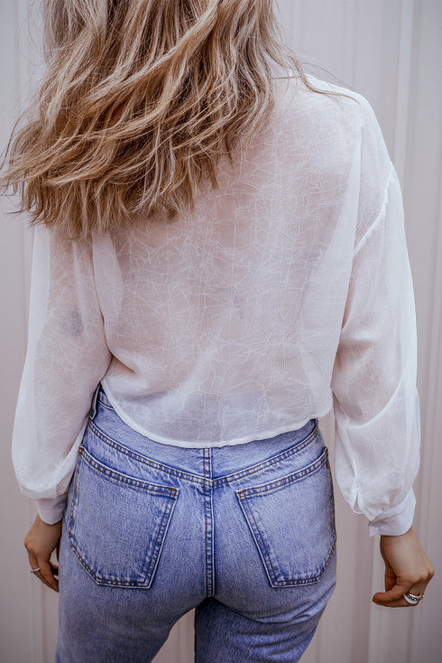 Textured Sheer Long Sleeve Tie Front Button Down Shirt