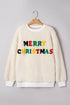 Textured Sherpa Fleece Graphic Letter Pullover Sweatshirt