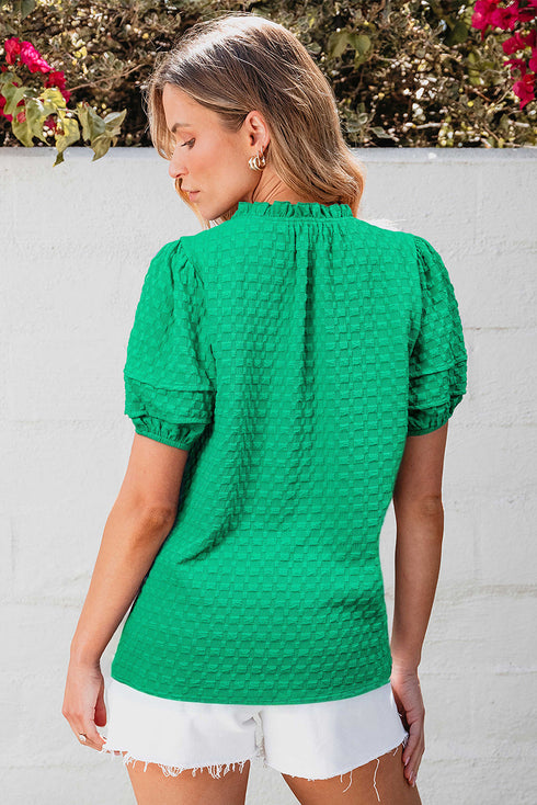 Textured Short Puff Sleeve Notched V Neck Blouse