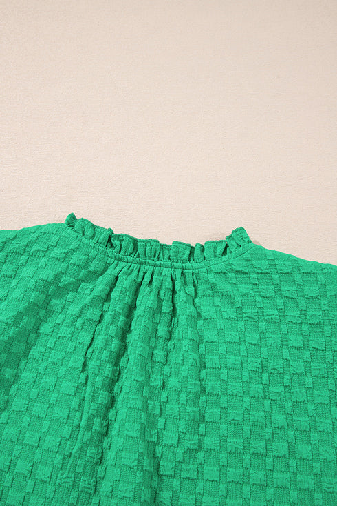 Textured Short Puff Sleeve Notched V Neck Blouse
