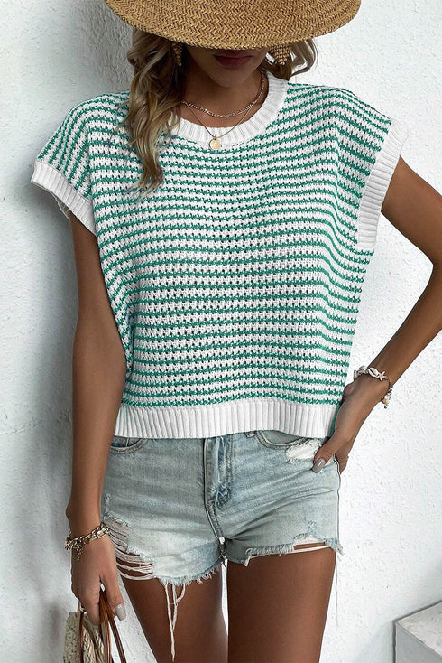 Textured Stitch Short Sleeve Striped Knit Sweater