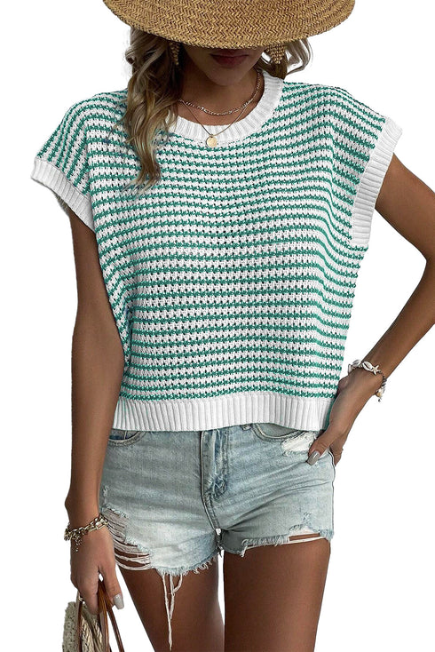 Textured Stitch Short Sleeve Striped Knit Sweater