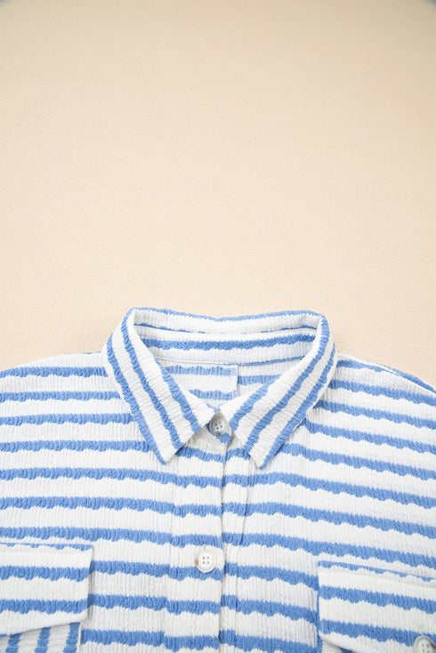 Textured Stripe Half Button Collared Long Sleeve Shirt