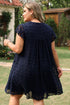 Textured Swiss Dot Notched Neck Ruffled Mini Dress