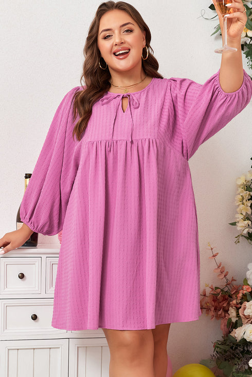 Textured Tie Split Neck Puff Sleeve Flowy Mini Dress