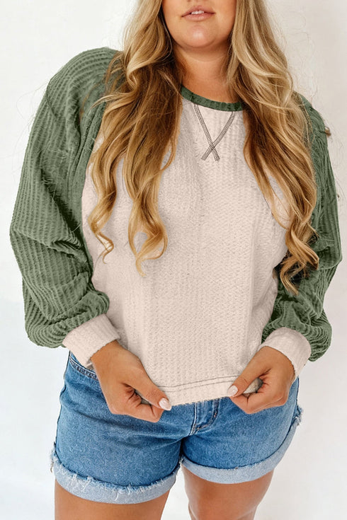 Textured Waffle Knit Patchwork Casual Long Sleeve Top