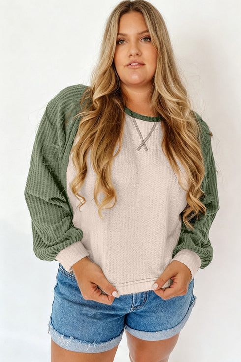 Textured Waffle Knit Patchwork Casual Long Sleeve Top