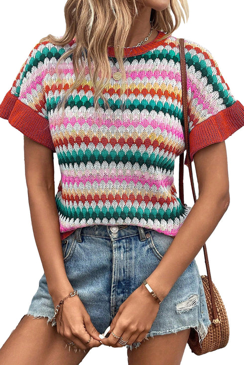 Trimmed Ruffle Sleeve Colorful Textured Sweater