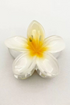 Tropical Frangipani Shape Acrylic Claw Hair Clip