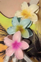 Tropical Frangipani Shape Acrylic Claw Hair Clip