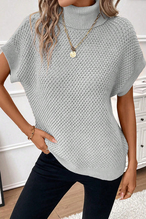 Turtleneck Textured Short Sleeve Sweater