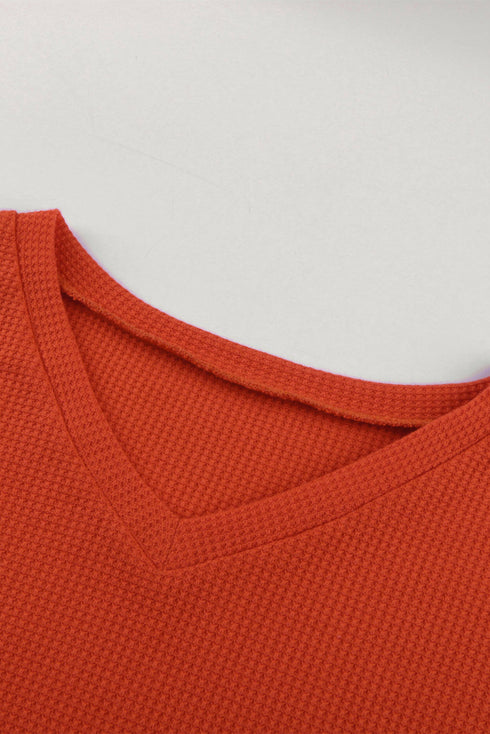 V Neck Leopard Stripe Splice Lantern Sleeve Top