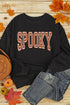 Varsity Letter Graphic Crewneck Pullover Sweatshirt