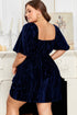 Velvet Ruched Puff Sleeve Bow Plus Size Midi Dress