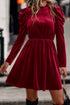 Velvet Ruffled Mock Neck Puff Sleeve Dress