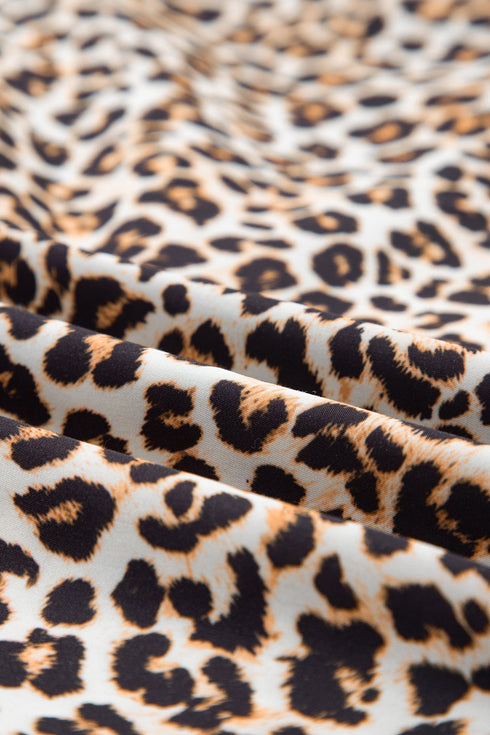 Western Leopard Print Striped Collar Long Sleeve Flared Mini Dress