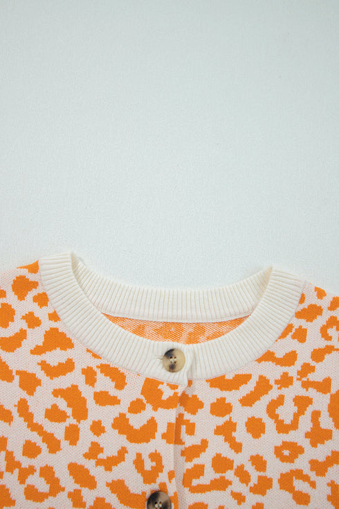Wild Animal Pattern Button Front Knit Cardigan